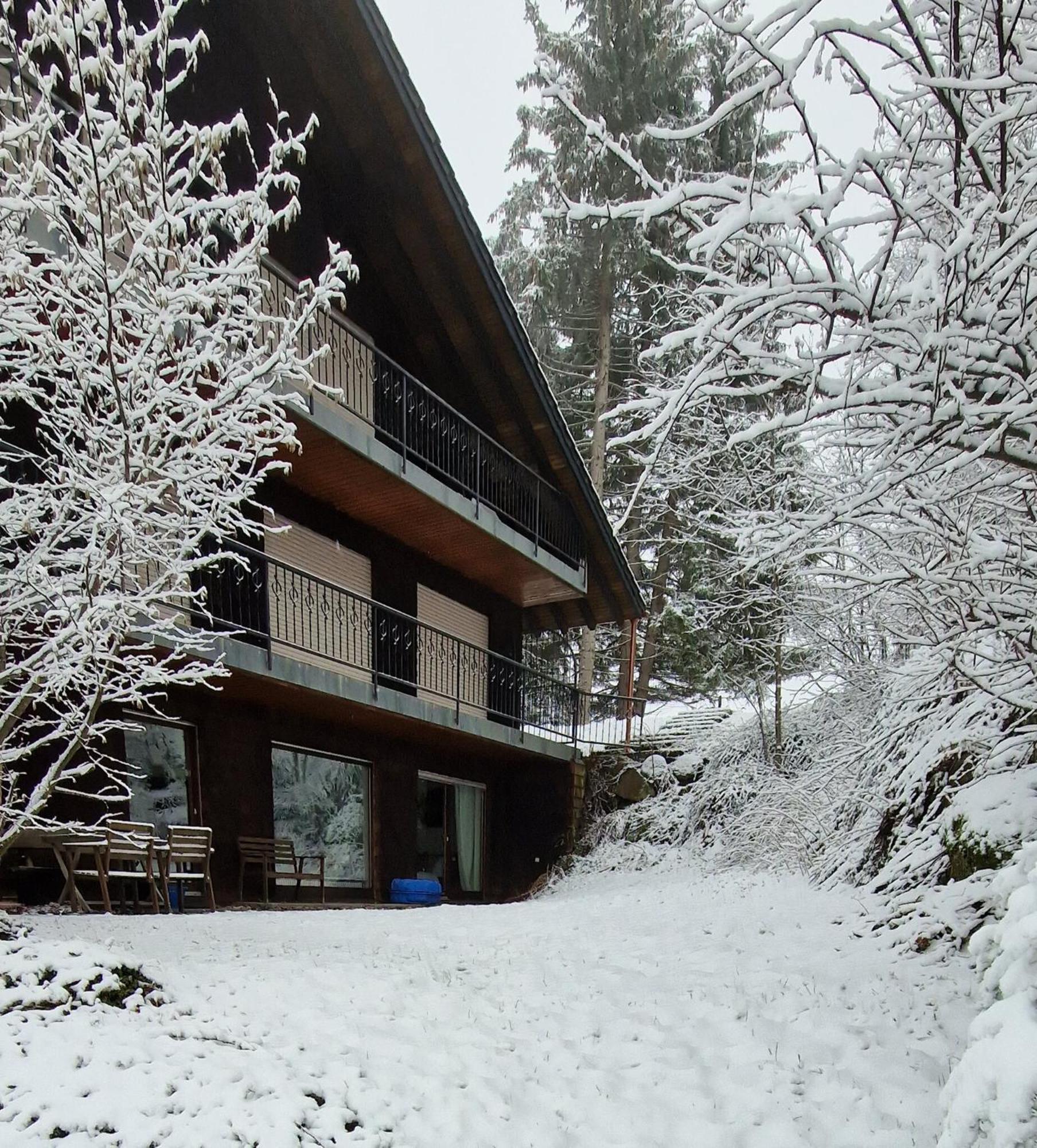 Ferienwohnung In Schoenwald Schwarzwald Екстериор снимка