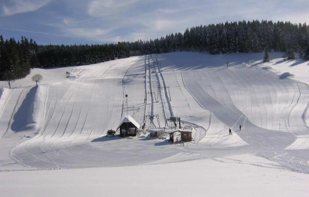 Ferienwohnung In Schoenwald Schwarzwald Екстериор снимка